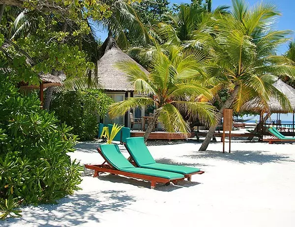 Strandstolar i vit sand