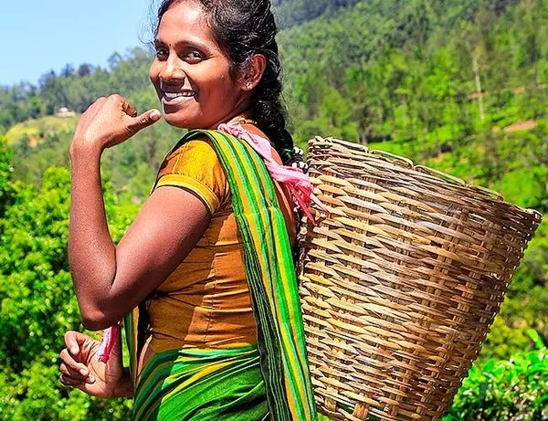 Kvinna tebonde, i färgglada kläder.