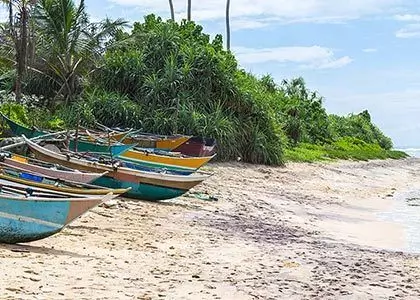 fiskebåtar på en vacker strand i Sri Lanka.